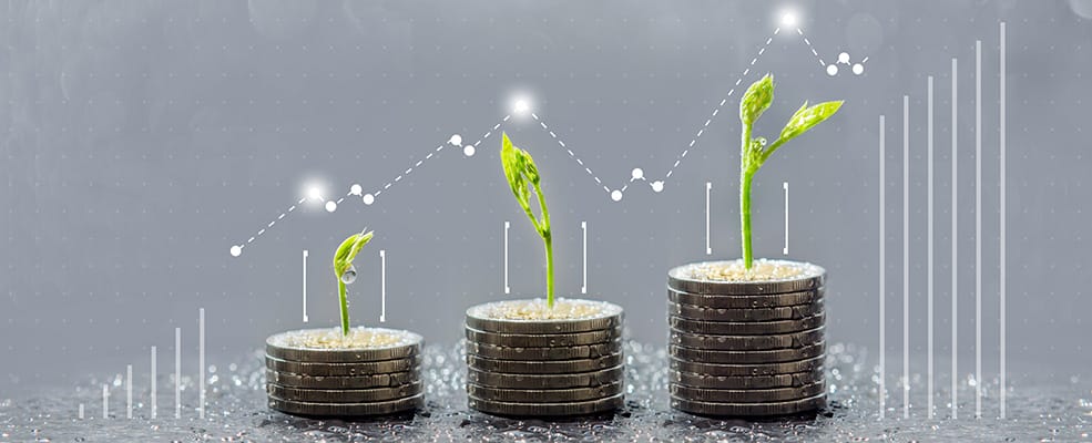 Stack Of Coins Graph Sprouts | Orange Energizing Solutions